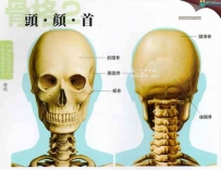 人体解剖学习资源 高清原版扫描192p