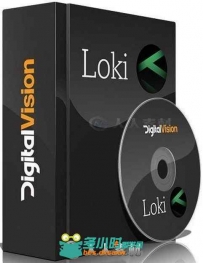 DigitalVision Loki视觉图像自动化软件V2017.1.004版