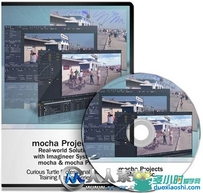 《Mocha项目应用视频教程》Curious Turtle Mocha Projects