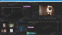 Premiere Pro视频编辑完整技能训练视频教程