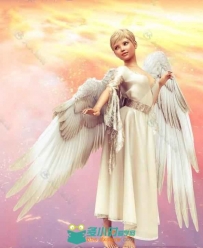 美丽可爱的天使羽毛之翼和姿势3D模型合辑