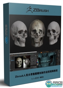 Zbrush人类头骨骷髅雕刻制作流程视频教程