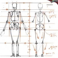 绘画专用人体解剖系列素材书籍