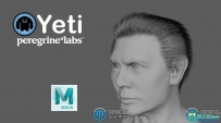 Peregrine Labs Yeti皮毛羽毛Maya插件V4.2.10版