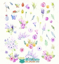 水彩风格花和昆虫展示PSD模板Delicate Flowers & Insects