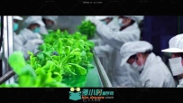 农业技术室内种植科技产品宣传片高清实拍视频素材