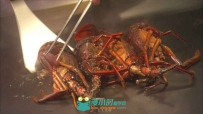铁板美食虾实拍视频素材
