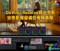 DaVinci Resolve商业电影业务影视级调色从入门到精通视