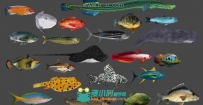 22款海洋鱼类带骨骼带动画3D模型