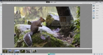 Photoshop Elements图像编辑软件V2020.2版