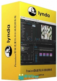 Premiere蒙板遮罩技术训练视频教程 Lynda Premiere Pro Guru Compositing and Masks