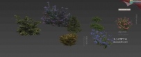 写实的灌木丛植物 花草3D模型