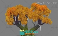 漂亮的许愿树3D模型
