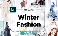 5组冬季时尚照片后期调色艺术LR预设合集