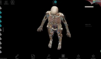 超级牛逼的人体解剖软件Human Anatomy Atlas