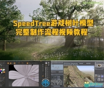 SpeedTree游戏树叶模型完整制作流程视频教程