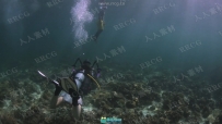 潜水摄影水下精美照片拍摄技能训练视频教程