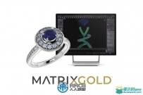 Gemvision MatrixGold珠宝设计软件V3.1.22284.1001版