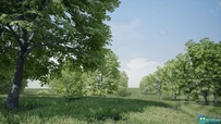 逼真枫树植被森林场景Unreal Engine游戏素材资源