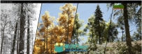 森林四季生态系统植物花草环境UE4游戏素材资源