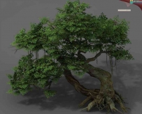 精致写实的榕树树木3d模型合集6棵