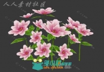 超好看的花草3D模型