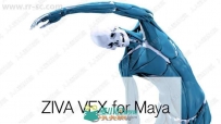 Ziva Dynamics Ziva VFX骨骼肌肉运动模拟Maya插件V1.5版