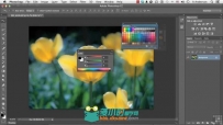 Photoshop CC初学者全面入门训练视频教程 Udemy Mastering Adobe Photoshop CC