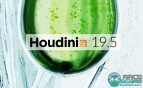 SideFX Houdini FX影视特效制作软件V19.5.303版