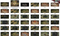 大将军游戏全套资料 原画集487p 含PSD分层大图原画素材设...