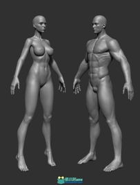zbrush男女角色人体3D高模