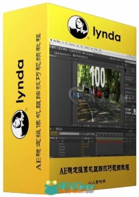 AE稳定摄像机跟踪技巧视频教程 Lynda After Effects Guru Tracking and Stabilizin...