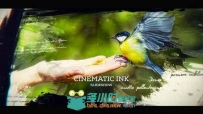 史诗美丽油画照片展示影视片头视频包装AE模板Videohive Cinematic Ink Slideshow ...