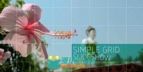 简洁网格相册动画AE模板 Videohive Simple Grid Slideshow 9720887
