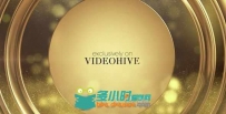 金色粒子时尚多用途包装动画AE模板 Videohive Awards Promo Package 15041665