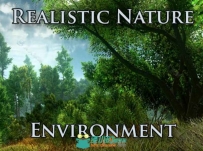 美丽的森林现实自然环境3D模型Unity游戏素材资源