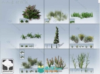 无缝的移动地面覆盖植被植物3D模型Unity游戏素材资源