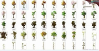 568张场景修图、树木植物PNG抠图素材