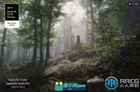 动态大自然森林植被环境3D场景Unity游戏素材资源
