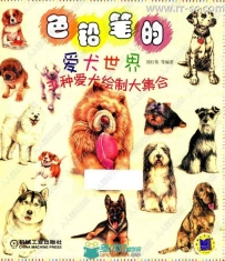31种可爱狗狗彩色铅笔图绘书籍杂志
