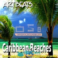 加勒比海海滩高清实拍视频素材合辑 Artbeats Caribbean Beaches V-Line