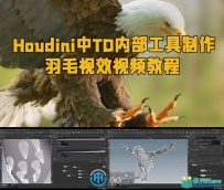 Houdini中TD内部工具制作羽毛视效视频教程