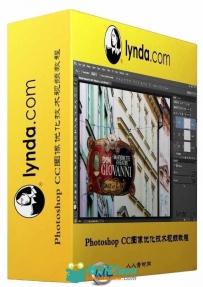 Photoshop CC图像优化技术视频教程