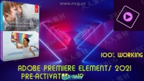 Adobe Premiere Elements视频编辑软件V2021.1版