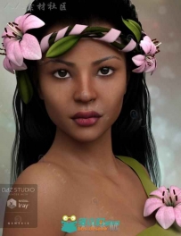 波利尼西亚美丽的女性角色3D模型合辑