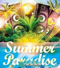 夏日乐园宣传海报展示PSD模板Summer_Paradise_Flyer