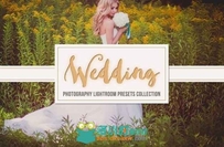 浪漫唯美婚礼调色特效Lightroom预设 CreativeMarket Wedding Lightroom Presets Co...