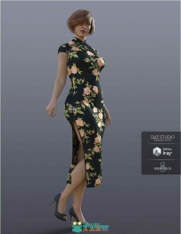 dForce H&C Long 旗袍Dress for Genesis 8 Female(s)
