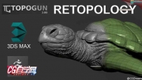 ZBrush 4R8贴图教程 海龟3D模型雕刻实例