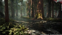 UE4红杉树森林场景环境游戏素材资源